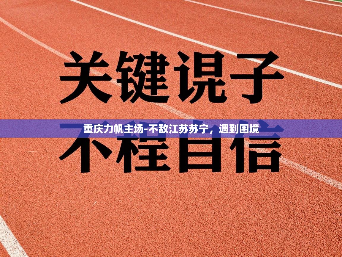 重庆力帆主场-不敌江苏苏宁,遇到困境 第1张